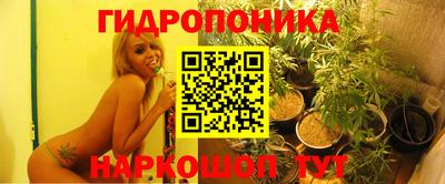 стаф Донецк