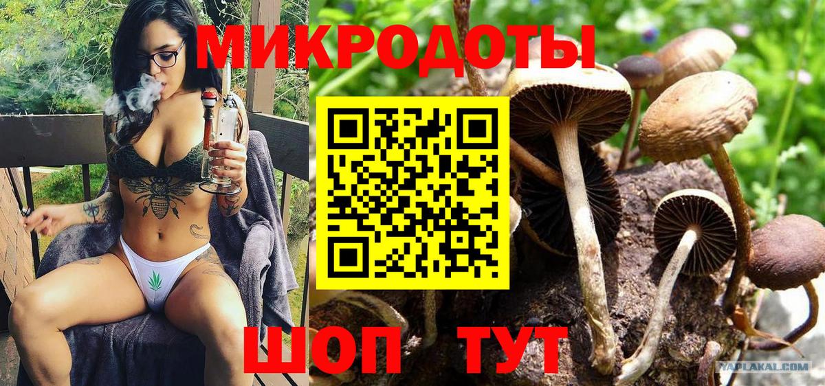 Псилоцибиновые грибы Psilocybe Отрадный